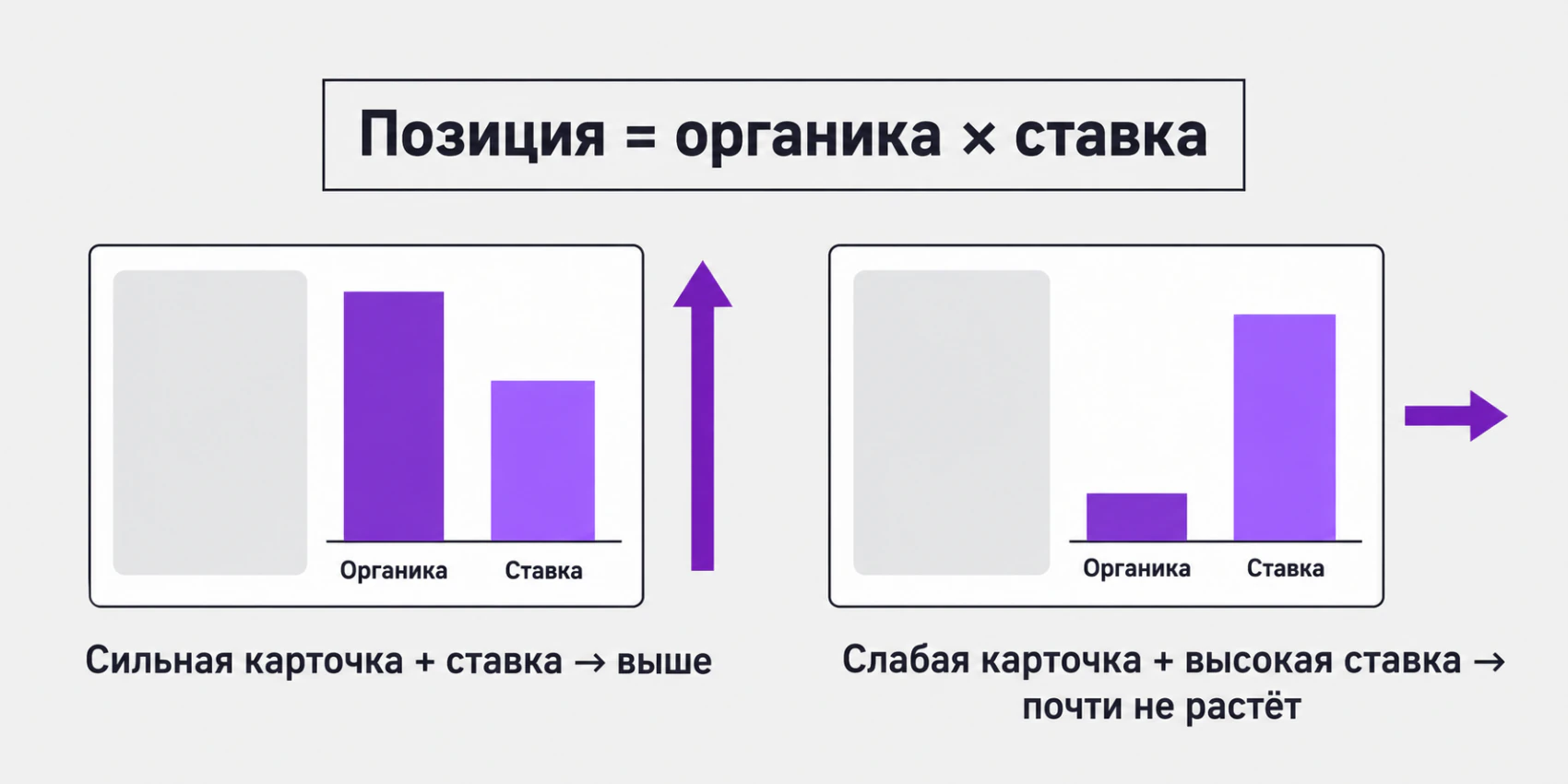 Продвижение на Вайлдберриз — как ставка и органика определяют позицию карточки